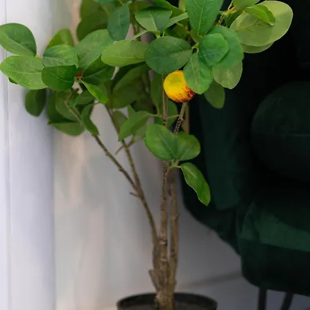 Апартаменты In The Heart Of The Center